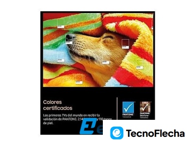 Samsung OLED TQ48S90FA 48'' 4K NQ4 AI Gen3 Processor Smart TV full AI Negro grafito - Image 7